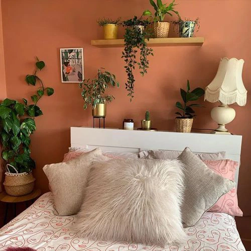 Фото цвета Dulux 50YR 36/263 Copper Blush